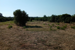 Terreno edificabile sassari