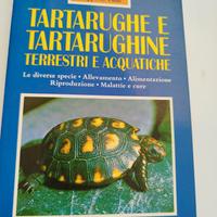 libro tartarughe