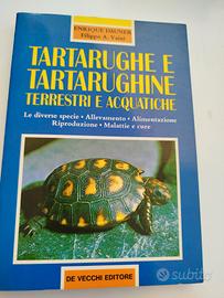 libro tartarughe