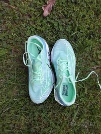 Mizuno strada