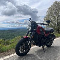 Benelli Leoncino 500 - 2018