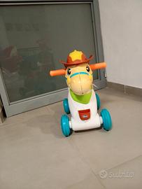 cavallo rodeo