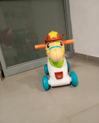 cavallo rodeo