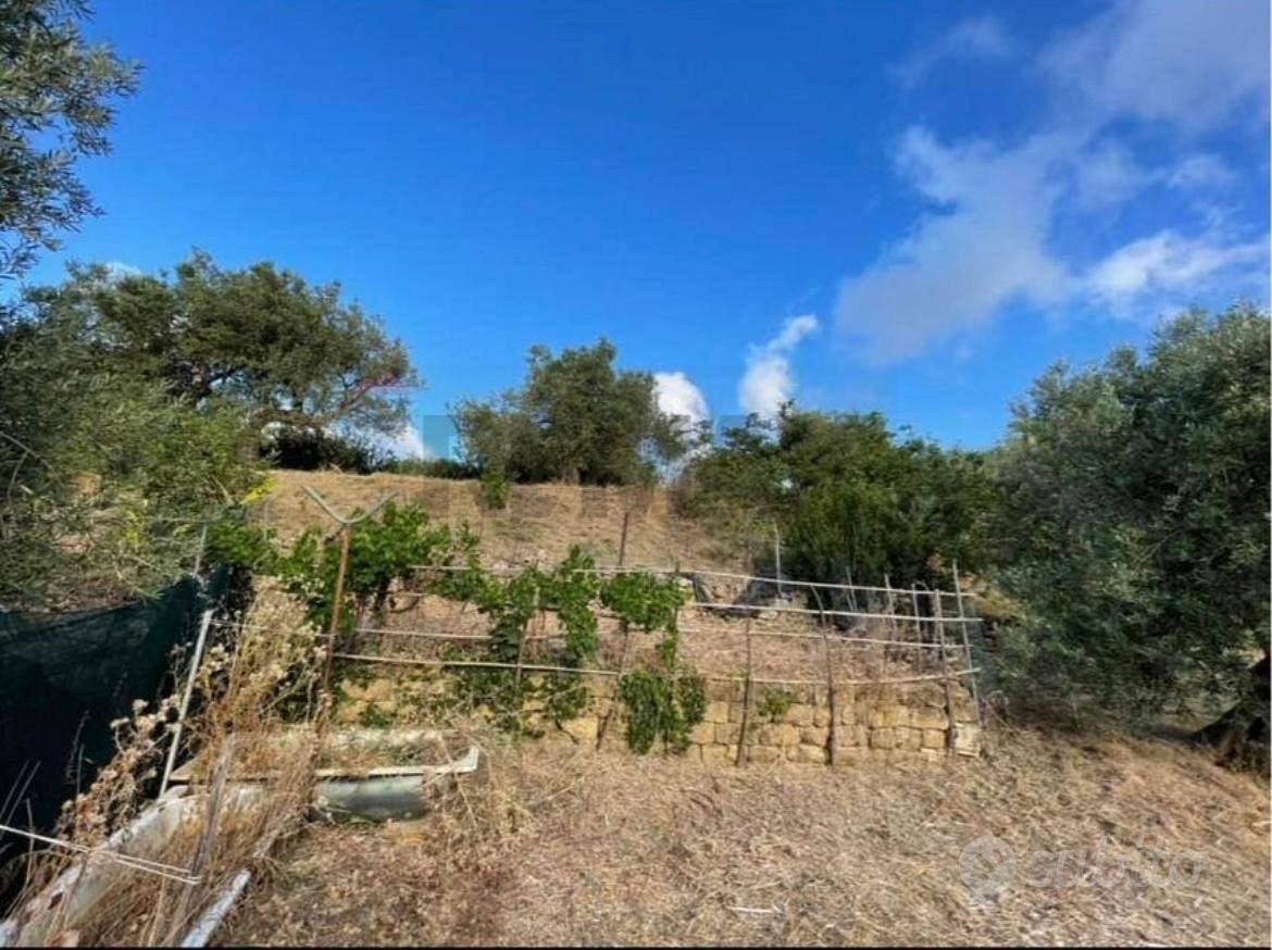 Terreno Edificabile - Termini Imerese - View 6