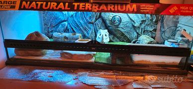 Exo TerraTerrario in Vetro con Sfondo, Large/Low 
