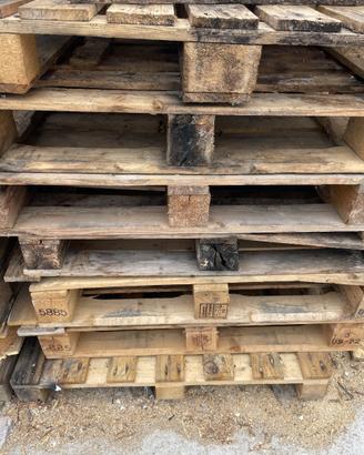 Pallet in legno