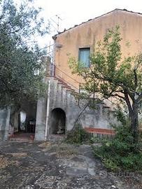 Villa con oliveto