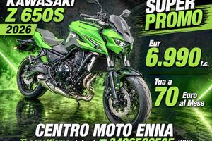 Kawasaki Z 650 S & Z 500 - 2026 Intera Gamma