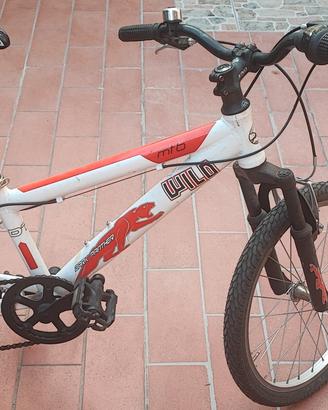 MTB 20