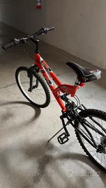 Bici MOUNTAIN BIKE FREJIS FM 624