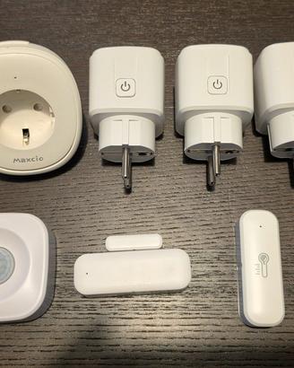 Dispositivi domotici smart home Google e Alexa