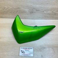 FIANCHETTI COPRI RADIATORE Z750 2007 2012