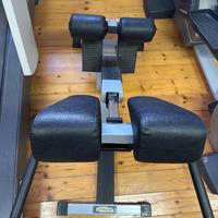 Panca Lower Back TechnoGym Lux