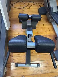 Panca Lower Back TechnoGym Lux