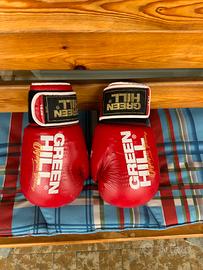 Guanti da Boxe Green Hill TIGER