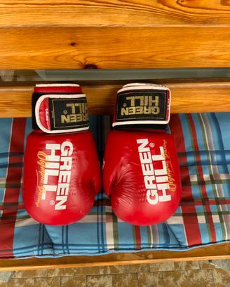 Guanti da Boxe Green Hill TIGER
