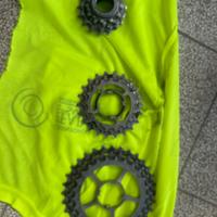 Pignoni campagnolo super record