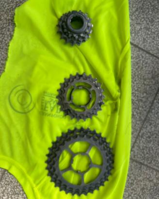Pignoni campagnolo super record