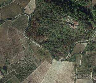 RGE 628/2018 Trib Pavia - LOTTO 8