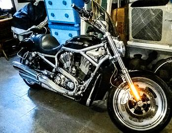 Harley Davidson V-Rod 