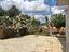 Immagine 23
