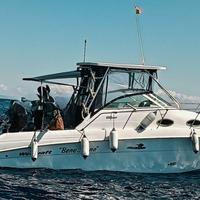 Wellcraft 270 Coastal + 2x300hp Suzuki (2025)