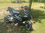 Immagine 5