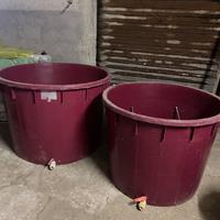 Tino/Mastello per vendemmia