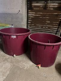 Tino/Mastello per vendemmia