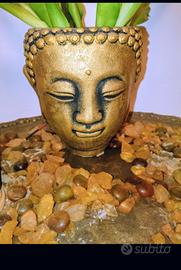 vasi a buddah prezz0 per entrambi 