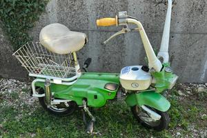 Moto G Graziella carnielli