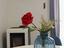 Immagine 14