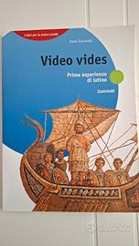 Video vides