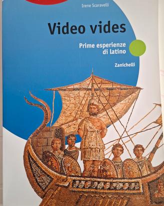 Video vides