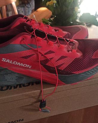 scarpe Salomon 