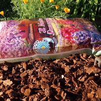 CORTECCIA  DI PINO MASTRO PAESAGGISTA