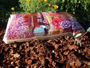 CORTECCIA  DI PINO MASTRO PAESAGGISTA