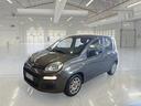 fiat-panda-1-0-firefly-70cv-s-s-hybrid-5-porte