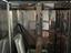 Immagine 4