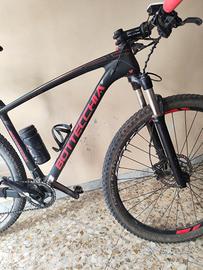 mtb 29 bottecchia carbonio