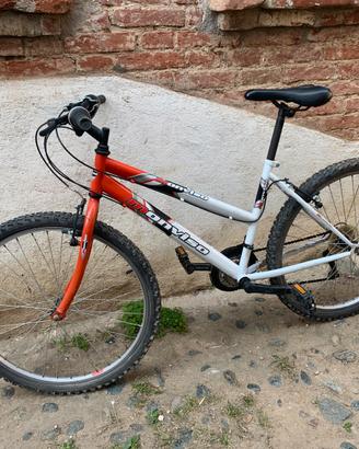 Bicicletta mountain bike “Monviso” - Trattabile