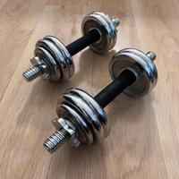 Set manubri regolabili 14kg