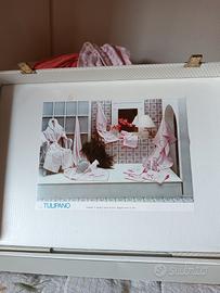 Set spugne nuovo