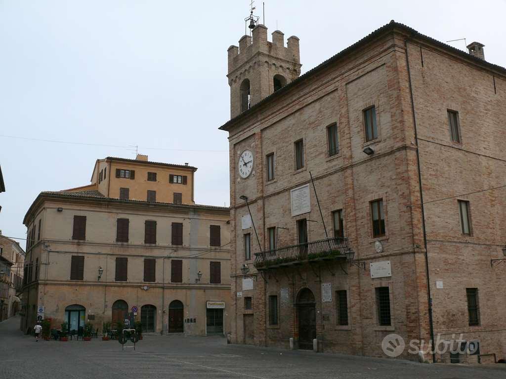 Castelfidardo, terreno, ulivi e vista mare - Vista 3