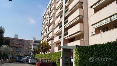 Ampio appartamento zona Famagosta/ San Paolo