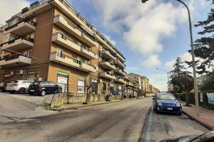 Appartamento per Studentesse/Lavoratrici