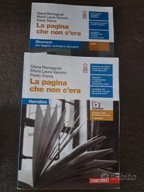 la pagina che non c'era  narrativa e strumenti 