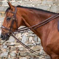 Redini di ritorno Dyon