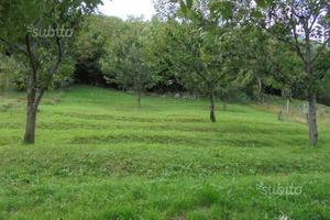 Ampio Terreno con Rustico