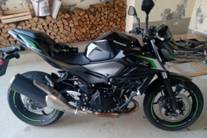 Kawasaki z500